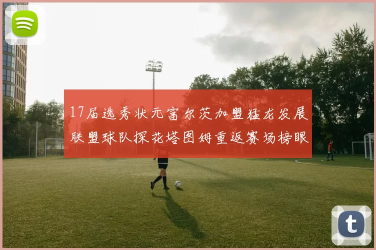 17届选秀状元富尔茨加盟猛龙发展联盟球队探花塔图姆重返赛场榜眼球员无球可打