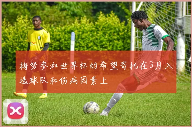 梅努参加世界杯的希望寄托在3月入选球队和伤病因素上